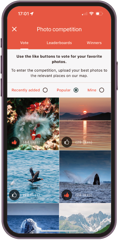 Photo competition home page